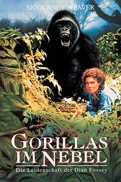 Filmstill zu: Gorillas im Nebel – Die Leidenschaft der Dian Fossey