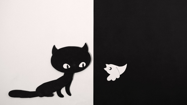 Filmstill zu: Katze und Vogel - Saka sy Vorona