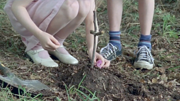 Filmstill zu: Die besten Beerdigungen der Welt (2008)