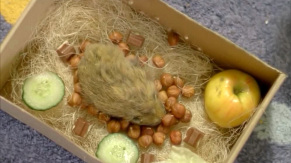 Filmstill zu: Neuneinhalbs Abschied